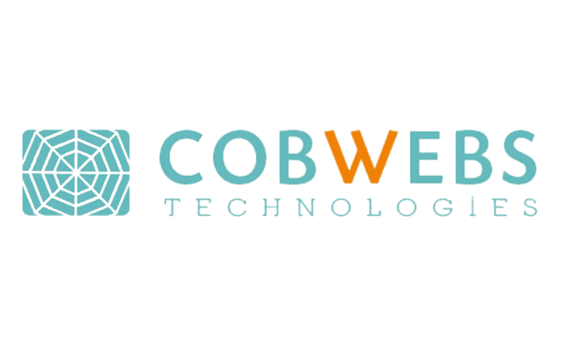 Cobwebs Logo
